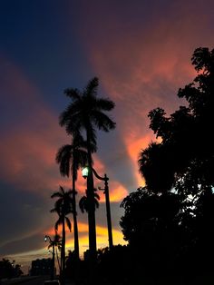 sunset, palm trees, sunset aesthetic, dream life, summer nights, summer aesthetic, florida sunset Palm Beach