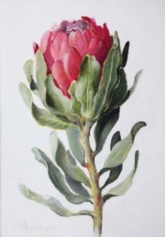 a painting of a pink flower with green leaves