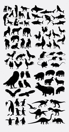 the silhouettes of different animals and birds are shown in this graphic art workbook