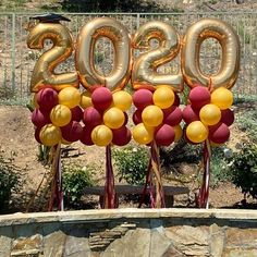 balloons are arranged in the shape of numbers on top of a sign that reads 205