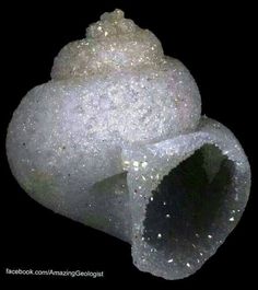 a close up of a piece of rock with water droplets on it and black background