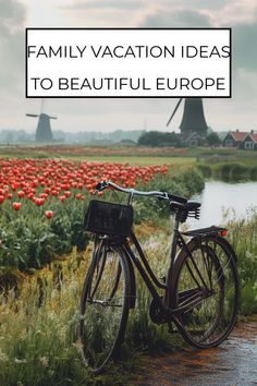 a bike parked next to a field with red flowers and windmills in the background