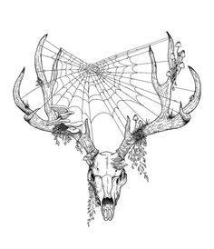 a drawing of a deer skull with antlers and spider web on it's back