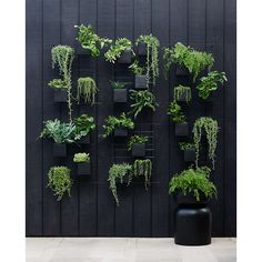 a wall mounted planter filled with lots of green plants next to a black vase