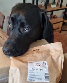 a black dog sitting on top of a table next to a brown paper bag filled with food