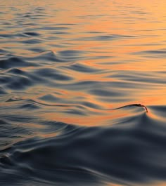 an orange and yellow sunset over the ocean with water ripples in front of it