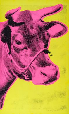 a close up of a cow on a yellow and pink background