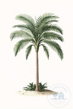 a drawing of a palm tree on an island