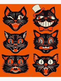 four black cats with different facial expressions and hats on their heads are shown in an orange background