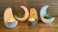 three white vases with plants in them sitting on a wooden table next to a wall