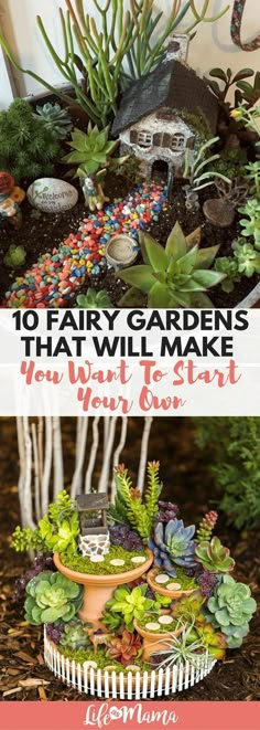 an assortment of plants and rocks with text overlay reading 10 fairy gardens that will make you want to start your own one