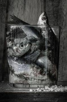 fish in a container with ice on the table