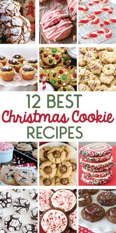 twelve christmas cookie recipes that are delicious and easy to make