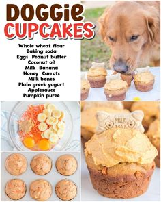 dogie cupcakes are made with whole wheat flour and eggnout butter