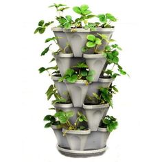 a tall planter filled with lots of green plants