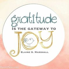 a white circle with the words gratitude is the gateway to joy