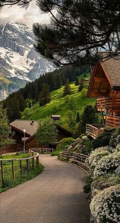 a road that is next to some houses in the mountains with snow covered mountains behind it