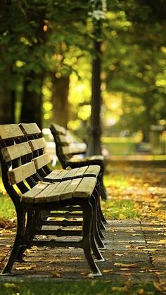 several park benches lined up on the side of a path in front of some trees