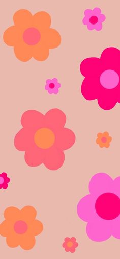 an image of colorful flowers on a pink background