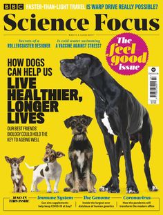 the front cover of science focus magazine with three dogs and one cat on yellow background