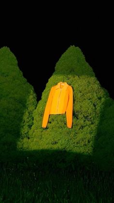 an orange jacket sitting on top of green grass