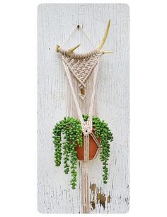 a macrame plant hanging on the side of a white wooden wall with green plants