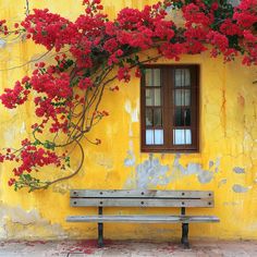 a wooden bench sitting in front of a yellow wall with red flowers growing on it