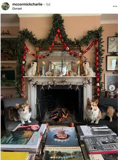 two corgi dogs sitting in front of a fireplace with christmas decorations on the mantle