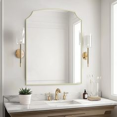 a bathroom vanity with two sinks and a large mirror above it, along with a potted succulent plant