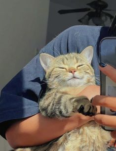 a person holding a cat in their arms and taking a picture with a cell phone