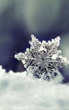 a snowflake that is sitting in the snow