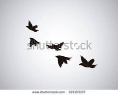 black birds flying in the sky on a gray background with space for text or image