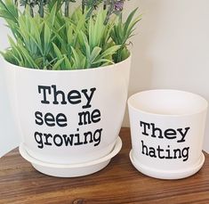 two white planters with plants in them that say they see me growing and they hating