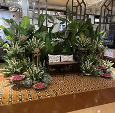 several potted plants sit on top of a tiled floor