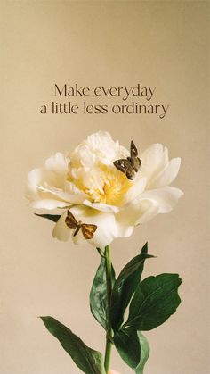 a white flower in a vase with a butterfly on it and the words make everyday a little less ordinary