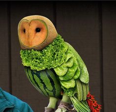 an owl is sitting on top of a watermelon with lettuce in it's beak