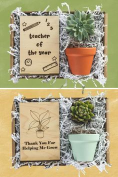 two boxes with plants in them and some writing on the box that says teacher of the year