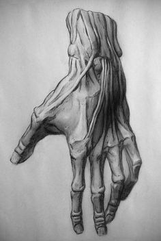 a pencil drawing of a hand holding something