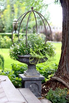 a potted planter sitting on top of a wooden bench next to a tree