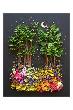 an arrangement of flowers and trees with the moon in the sky above them on a black surface