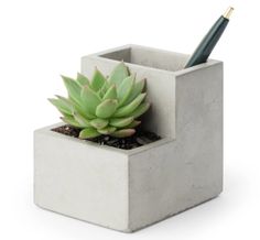 a small concrete planter with a green succulent in it