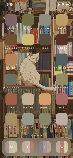 a cat sitting on top of a bookshelf filled with lots of different colored books