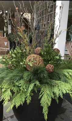 a planter filled with lots of green plants and pineconuts on the side of a house