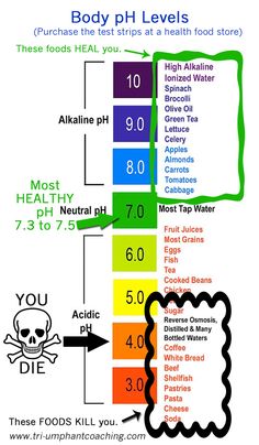 the food pyramid shows how much calories are in each portion of the body and what they