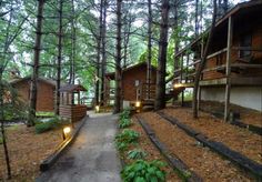 several cabins in the woods with lights on