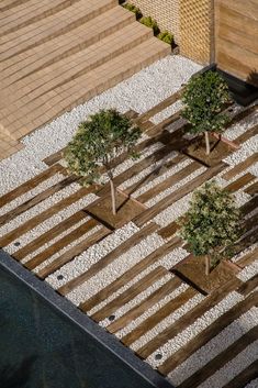 an aerial view of some trees and rocks in a garden area with wooden boards on the ground