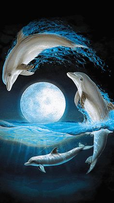 two dolphins jumping out of the water at night