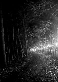 a black and white photo of a path in the woods at night with lights on