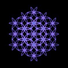 Isis Alada: La magia de la flor de la vida por los Andromedano... Maths In Nature, Flower Of Life Symbol, Sacred Geometry Patterns, Fractal Geometry, Sacred Geometry Tattoo, Visual Illusion, Mandala Design Pattern, Geometry Art, Divine Light