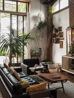 a living room filled with lots of furniture and plants on the windows sills